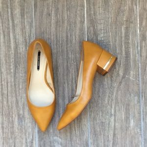 Zara Pointed Toe Shoe with Block Heel